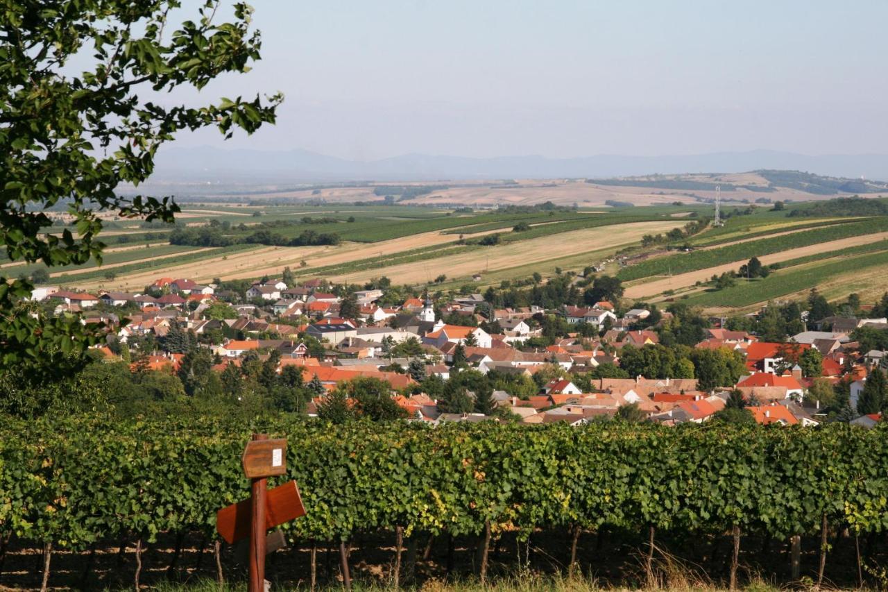 Weingut Zur Schlafmuetze Hotel Herrnbaumgarten Ngoại thất bức ảnh